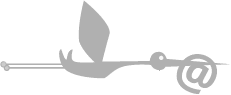 Kontakt